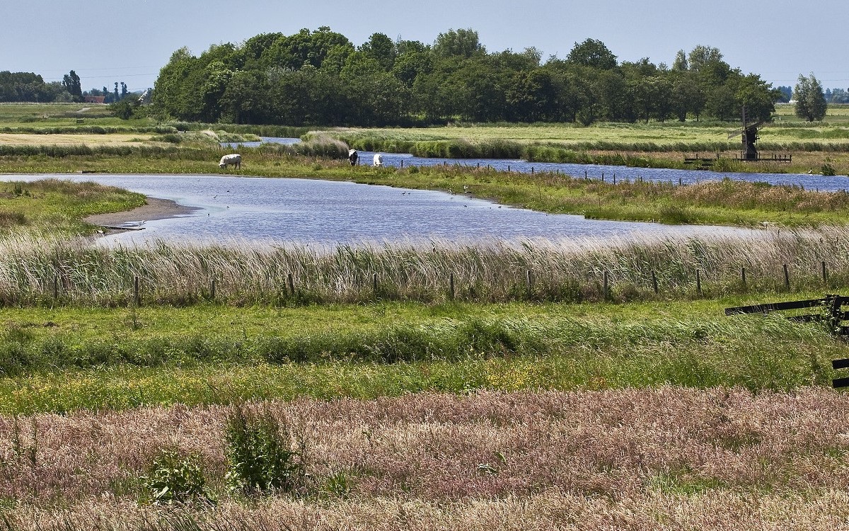 Buiten, Eilandspolder